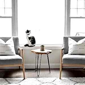 Auro İskandinav Berjer